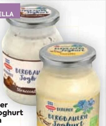 Billa Berghof joghurt Angebot