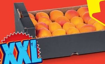 Hofer Marillen Angebot