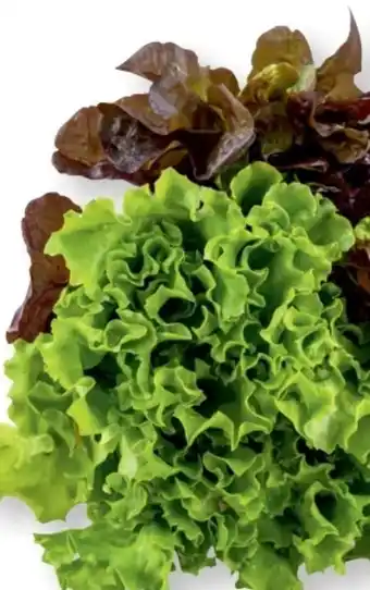 SPAR Gourmet Salat-duett Angebot