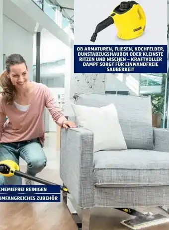 Hofer Hand-dampfreiniger kst 1 Angebot