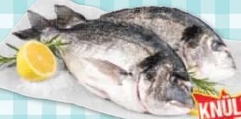 Maximarkt Goldbrasse Angebot