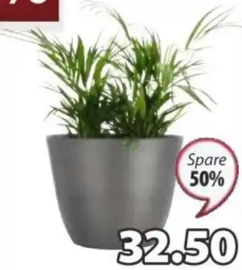 JYSK PFLANZKÜBEL HVEPS Ø 53 x H33 cm Angebot