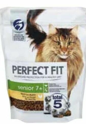 dm Katzenfutter Angebot