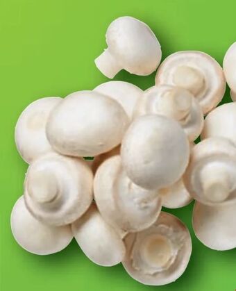 Lidl Champignons Angebot