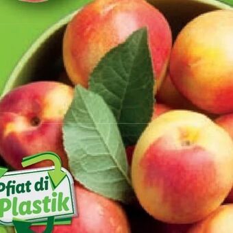 Lidl Nektarinen Angebot