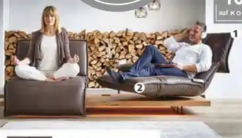 Polstermöbel Fischer Funktionselement 2 sitzer leder Angebot