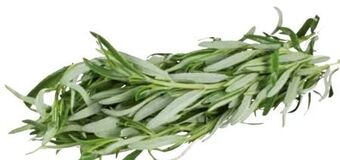 Transgourmet Rosmarin Angebot