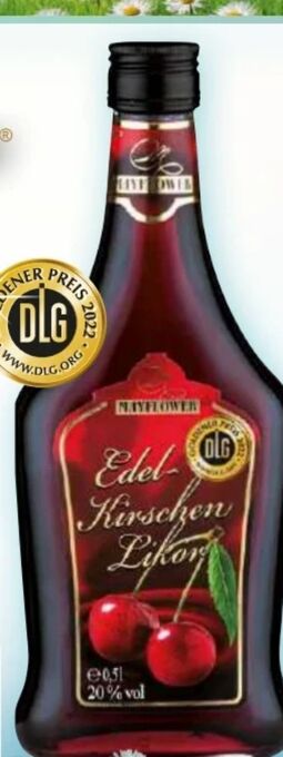 Norma Edel kirschen likör Angebot
