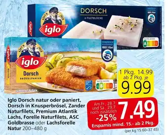 Spar Iglo Dorsch natur od paniert, Dorsch in Knusperbrösel, Zander Naturfilets, Premium Atlantik Lachs, Forelle Naturfilets Angebot