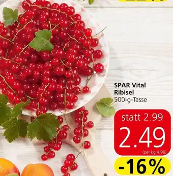 Spar SPAR Vital Ribisel 500-g-Tasse Angebot