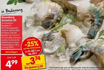 Interspar Rosenberg Garnelen U5 per 100 g Angebot