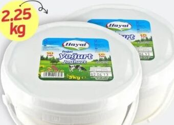 ETSAN Joghurt Angebot
