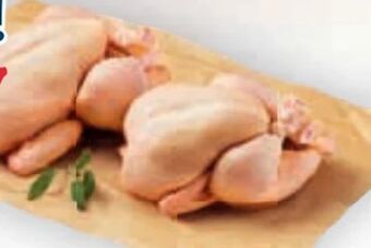 Billa Hendl duo Angebot