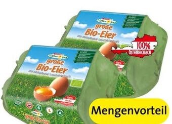 Spar Bio-eier Angebot