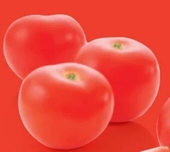 Hofer Tomaten Angebot