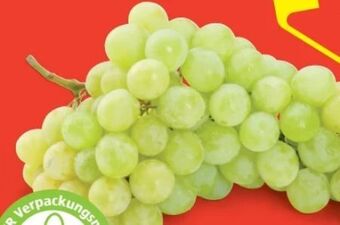 Hofer Trauben Angebot