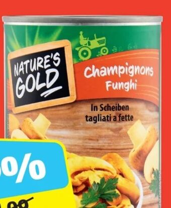 Hofer Champignons Angebot
