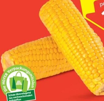 Hofer Zuckermais Angebot