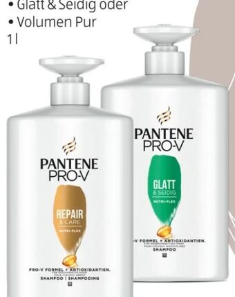 Hofer Shampoo Angebot