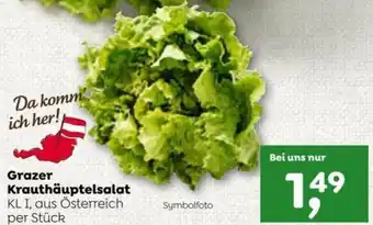 ADEG Grazer Krauthäuptelsalat KL I, aus Österreich per Stück Angebot