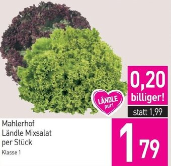 Sutterlüty Mahlerhof Ländle Mixsalat per Stück Angebot