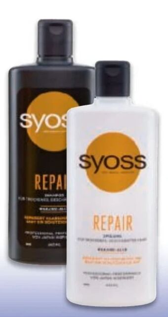 Metro Shampoo Angebot