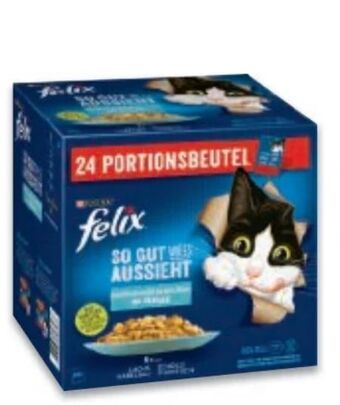 Metro Felix katzennassnahrung Angebot