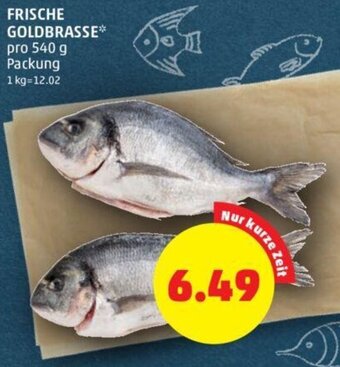 PENNY FRISCHE GOLDBRASSE* pro 540 g Packung Angebot