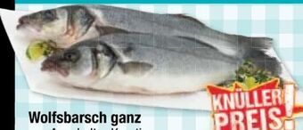 Maximarkt Wolfsbarsch Angebot