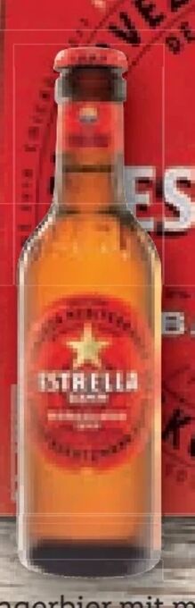 Lidl Bier Angebot