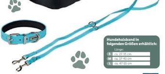 Lidl Hundehalsband-leine set Angebot