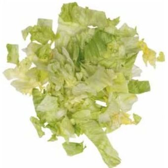 Transgourmet Eisbergsalat Angebot