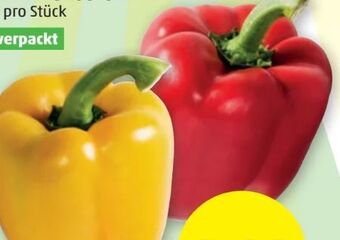 PENNY Paprika Angebot