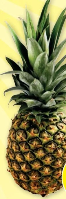 PENNY Ananas Angebot