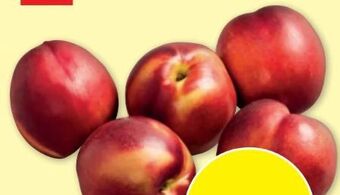 PENNY Nektarinen Angebot