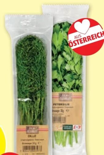 PENNY Kräuter Angebot