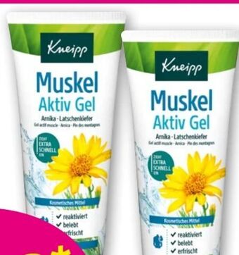 Norma Muskel aktiv gel Angebot