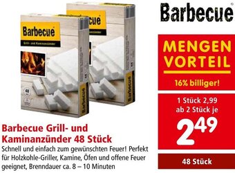 Interspar Barbecue Grill- und Kaminanzünder 48 Stück Angebot