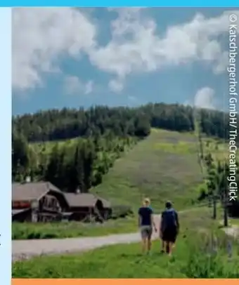 Hofer Reisen Kärnten-rennweg am katschberg Angebot
