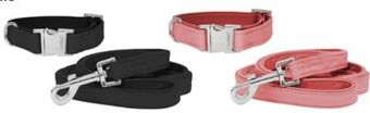 Lidl Hundehalsband-leine set Angebot