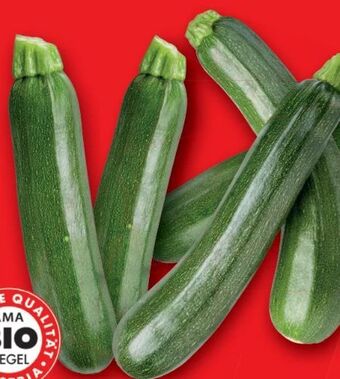 Lidl Bio-zucchini Angebot