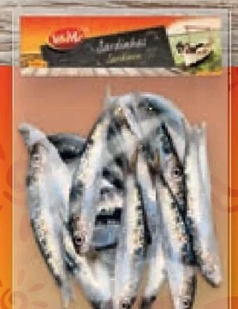 Lidl Sardinen Angebot