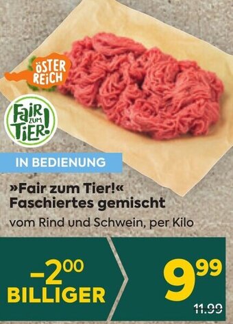 Billa >>Fair zum Tier!<<< Faschiertes gemischt vom Rind und Schwein, per Kilo Angebot