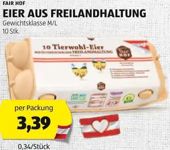 Hofer FAIR HOF EIER AUS FREILANDHALTUNG Gewichtsklasse M/L 10 Stk. Angebot