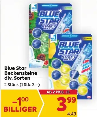 Billa Blue Star Beckensteine div. Sorten 2 Stück (1 Stk. 2.-) Angebot