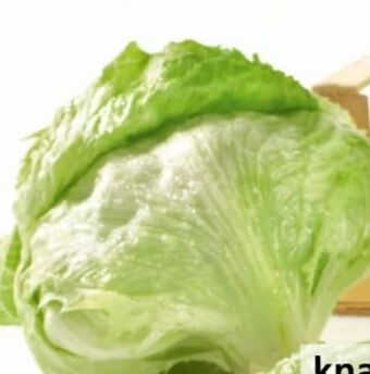 Eurospar Bio-eisbergsalat Angebot