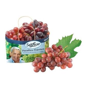 Billa Trauben Angebot