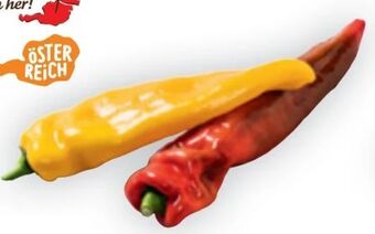 Billa Spitzpaprika bunt Angebot