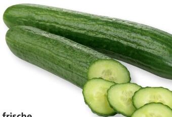 SPAR Gourmet Gurken Angebot