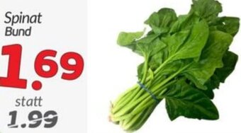 ETSAN Spinat Bund Angebot